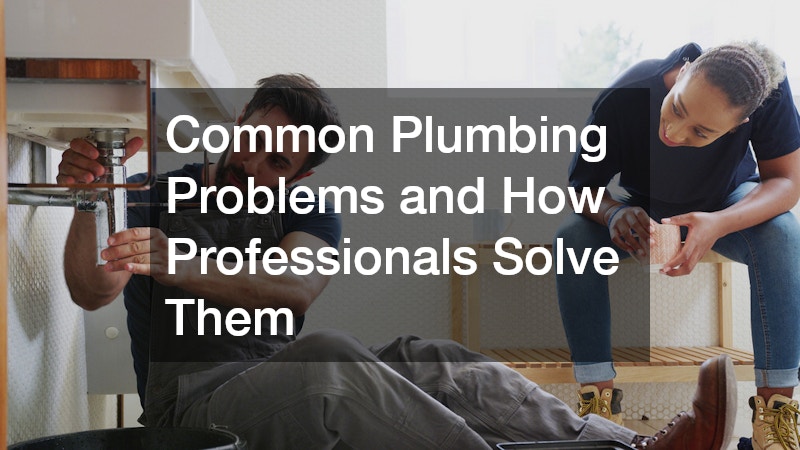 Common Plumbing Problems and How Professionals Solve Them